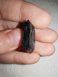 2g Raw Black Jet Specimen Natural Whitby Jet Rough Crystal Fossil Shard