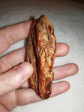 23g Natural Raw Amber Copal Specimen Honey Golden Fossil Resin Crystal
