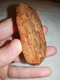 23g Natural Raw Amber Copal Specimen Honey Golden Fossil Resin Crystal
