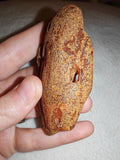 23g Natural Raw Amber Copal Specimen Honey Golden Fossil Resin Crystal