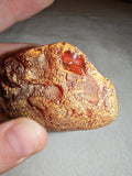 23g Natural Raw Amber Copal Specimen Honey Golden Fossil Resin Crystal