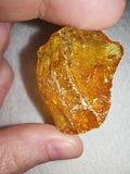 9g Natural Raw Amber Copal Specimen Honey Golden Fossil Resin Crystal