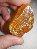 9g Natural Raw Amber Copal Specimen Honey Golden Fossil Resin Crystal