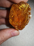 9g Natural Raw Amber Copal Specimen Honey Golden Fossil Resin Crystal