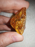 9g Natural Raw Amber Copal Specimen Honey Golden Fossil Resin Crystal