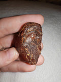14g Natural Raw Amber Copal Specimen Honey Cognac Fossil Resin Crystal #4