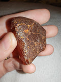 14g Natural Raw Amber Copal Specimen Honey Cognac Fossil Resin Crystal #4