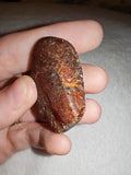 14g Natural Raw Amber Copal Specimen Honey Cognac Fossil Resin Crystal #4