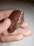 14g Natural Raw Amber Copal Specimen Honey Cognac Fossil Resin Crystal #4