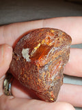14g Natural Raw Amber Copal Specimen Honey Cognac Fossil Resin Crystal #4