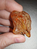 6g Natural Raw Amber Copal Specimen Honey Cognac Fossil Resin Crystal #5