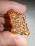 6g Natural Raw Amber Copal Specimen Honey Cognac Fossil Resin Crystal #5