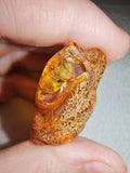 6g Natural Raw Amber Copal Specimen Honey Cognac Fossil Resin Crystal #5