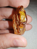 6g Natural Raw Amber Copal Specimen Honey Cognac Fossil Resin Crystal #5