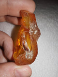 7g Natural Raw Amber Copal Specimen Honey Cognac Fossil Resin Crystal #6