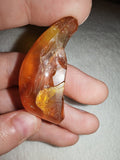 7g Natural Raw Amber Copal Specimen Honey Cognac Fossil Resin Crystal #6