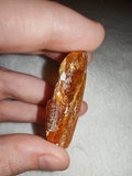 6g Natural Raw Amber Copal Specimen Honey Cognac Fossil Resin Crystal #7