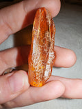 6g Natural Raw Amber Copal Specimen Honey Cognac Fossil Resin Crystal #7
