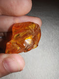 6g Natural Raw Amber Copal Specimen Honey Cognac Fossil Resin Crystal #8