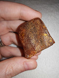 13g Natural Raw Amber Copal Specimen Rich Cognac Amber Fossil Resin Gem #9