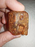 13g Natural Raw Amber Copal Specimen Rich Cognac Amber Fossil Resin Gem #9