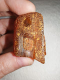 13g Natural Raw Amber Copal Specimen Rich Cognac Amber Fossil Resin Gem #9