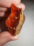 13g Natural Raw Amber Copal Specimen Rich Cognac Amber Fossil Resin Gem #9