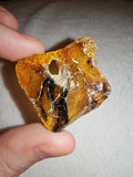 8g Natural Raw Amber Copal Specimen Honey Gold Resin Plate Natural Hole #10