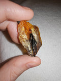 8g Natural Raw Amber Copal Specimen Honey Gold Resin Plate Natural Hole #10