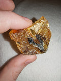 8g Natural Raw Amber Copal Specimen Honey Gold Resin Plate Natural Hole #10