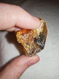 8g Natural Raw Amber Copal Specimen Honey Gold Resin Plate Natural Hole #10
