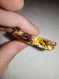 8g Natural Raw Amber Copal Specimen Honey Gold Resin Plate Natural Hole #10