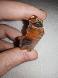5g Natural Raw Amber Copal Specimen Fiery Red Cognac Resin Crystal Specimen #11