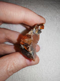 5g Natural Raw Amber Copal Specimen Fiery Red Cognac Resin Crystal Specimen #11