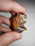 5g Natural Raw Amber Copal Specimen Fiery Red Cognac Resin Crystal Specimen #11