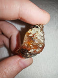 5g Natural Raw Amber Copal Specimen Fiery Red Cognac Resin Crystal Specimen #11