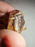 5g Natural Raw Amber Copal Specimen Fiery Red Cognac Resin Crystal Specimen #11