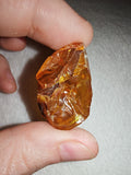 5g Natural Raw Amber Copal Specimen Golden Honey Resin Gemmy Crystal Specimen #12