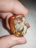 5g Natural Raw Amber Copal Specimen Golden Honey Resin Gemmy Crystal Specimen #12