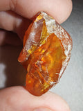 5g Natural Raw Amber Copal Specimen Golden Honey Resin Gemmy Crystal Specimen #12