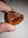 7g Natural Raw Amber Copal Specimen Rich Cognac Red Resin Fossil Specimen #13