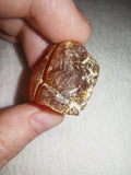 7g Natural Raw Amber Copal Specimen Rich Cognac Red Resin Fossil Specimen #13