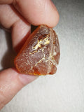 7g Natural Raw Amber Copal Specimen Rich Cognac Red Resin Fossil Specimen #13