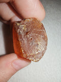 7g Natural Raw Amber Copal Specimen Rich Cognac Red Resin Fossil Specimen #13