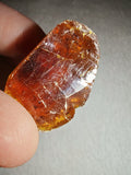 7g Natural Raw Amber Copal Specimen Rich Cognac Red Resin Fossil Specimen #13