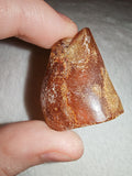 5g Natural Raw Amber Copal Specimen Rich Cognac Terracotta Resin Fossil Piece #14