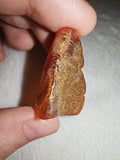 5g Natural Raw Amber Copal Specimen Rich Cognac Terracotta Resin Fossil Piece #14
