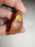 5g Natural Raw Amber Copal Specimen Rich Cognac Terracotta Resin Fossil Piece #14