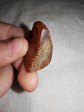 5g Natural Raw Amber Copal Specimen Rich Cognac Terracotta Resin Fossil Piece #14