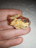 3g Natural Raw Amber Copal Specimen Yellow Crust Cognac Resin Rough Fossil Piece #15